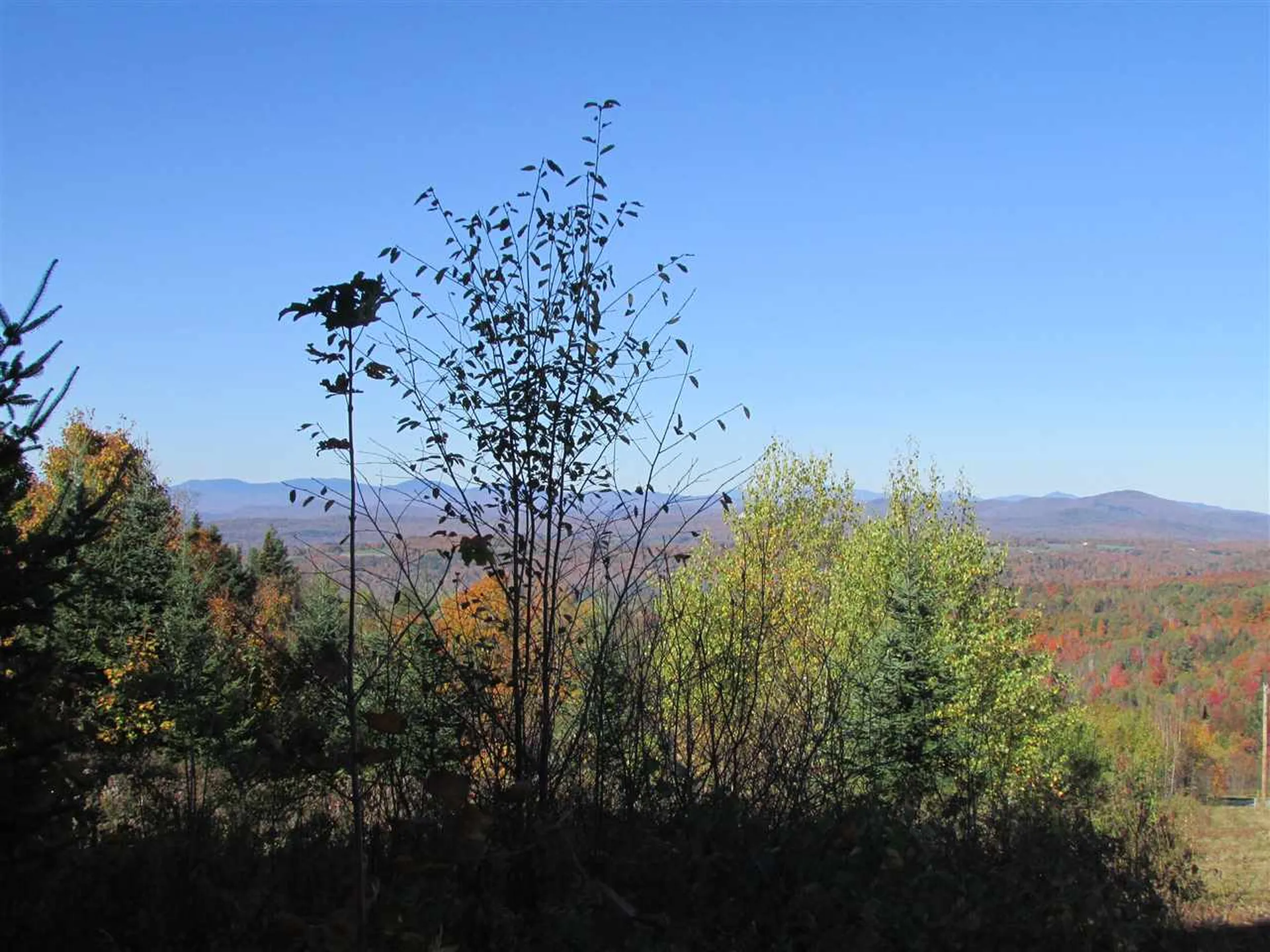 0 Dubray Road Cabot VT 05647