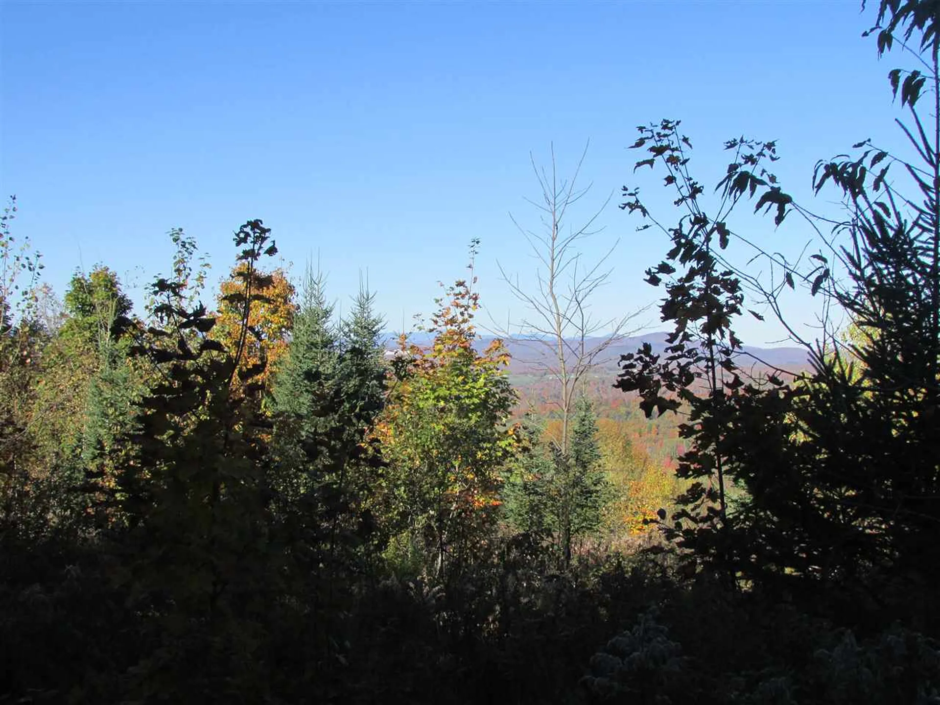 0 Dubray Road Cabot VT 05647