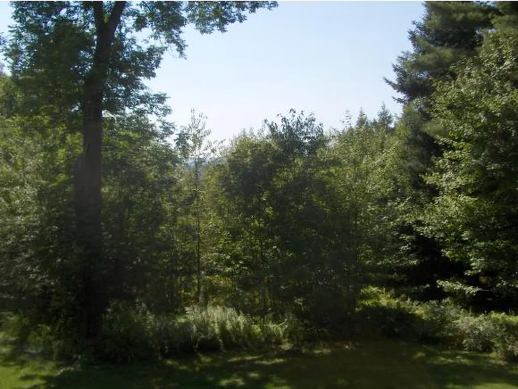 2968 Fish Hill Road Randolph VT 05060