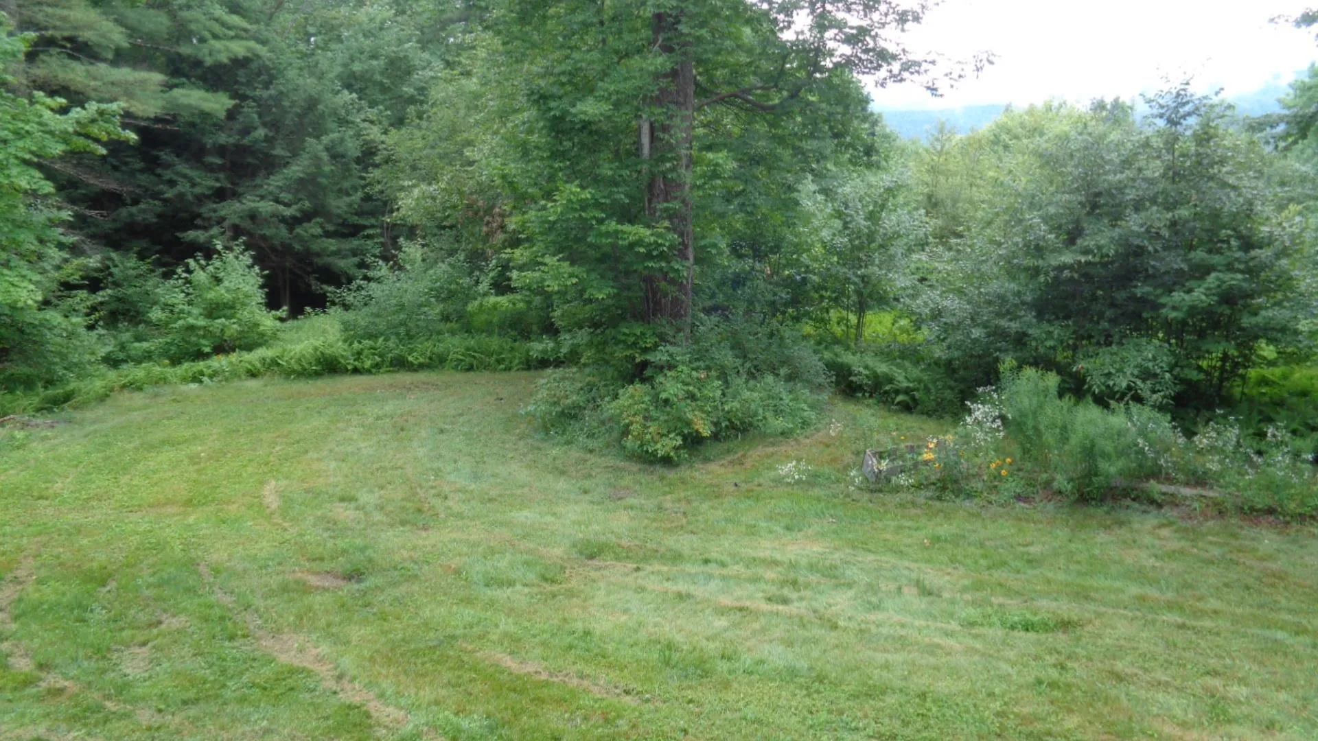 2968 Fish Hill Road Randolph VT 05060