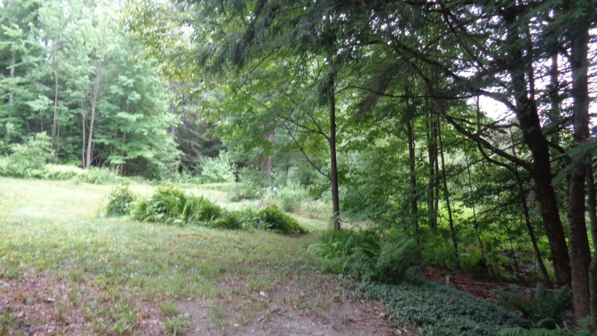 2968 Fish Hill Road Randolph VT 05060