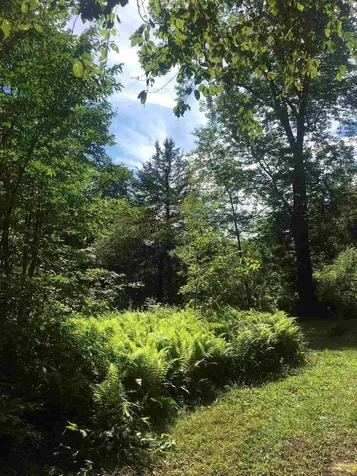 2968 Fish Hill Road Randolph VT 05060