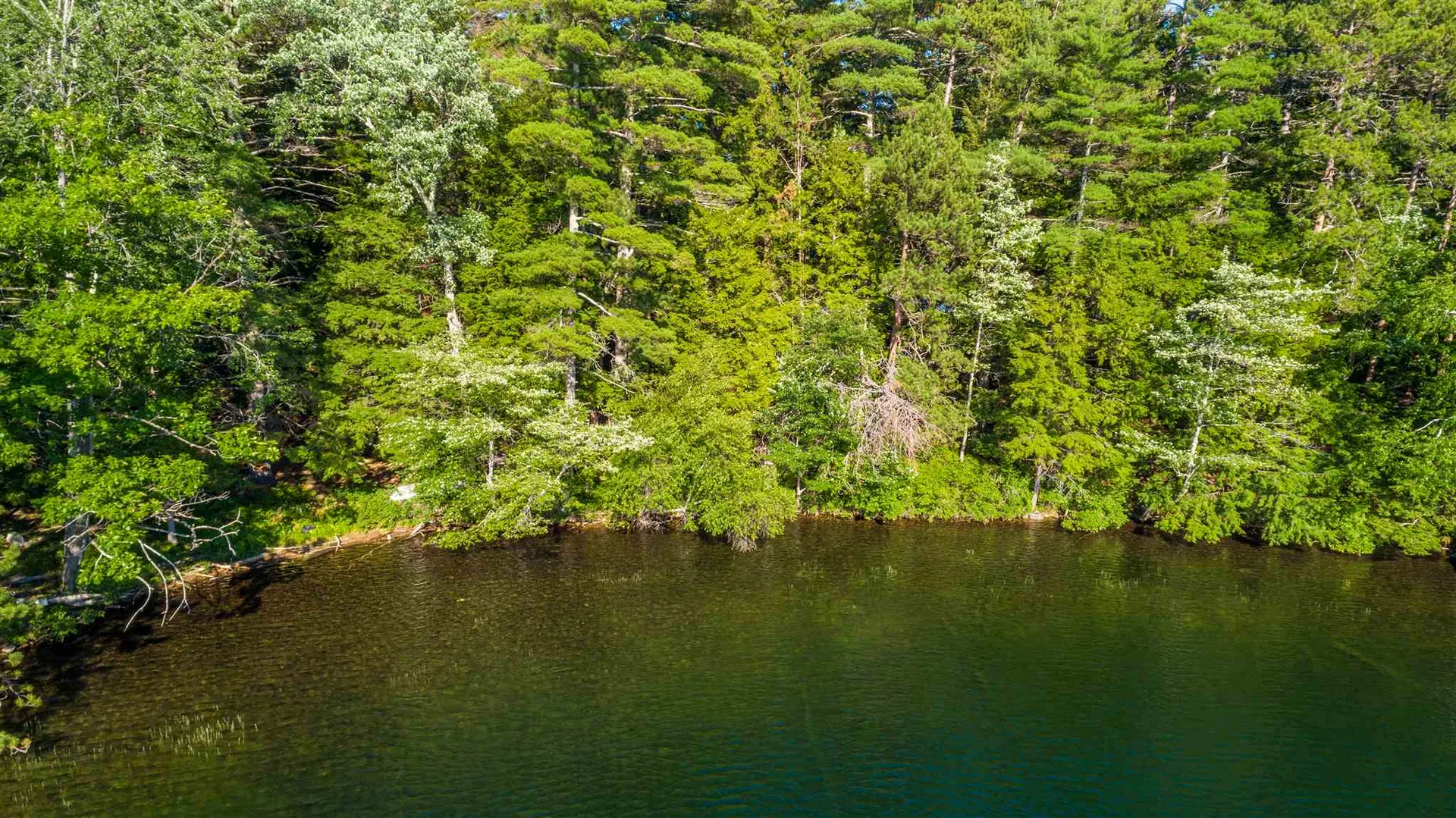 37 Marcus Road Moultonborough NH 03254