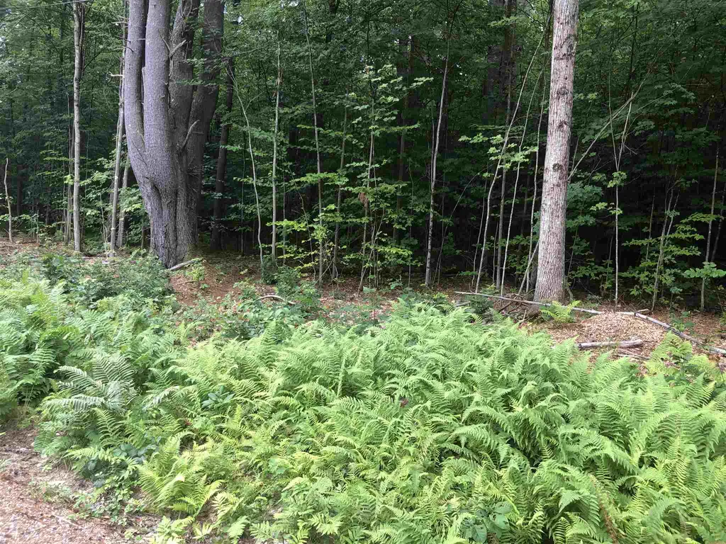 0 Winona Shores Road Meredith NH 03253