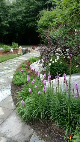 219 Bog Road New London NH 03257