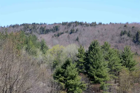 0 Route 100b Moretown VT 05660
