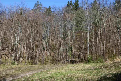 0 Route 100b Moretown VT 05660