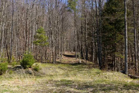 0 Route 100b Moretown VT 05660