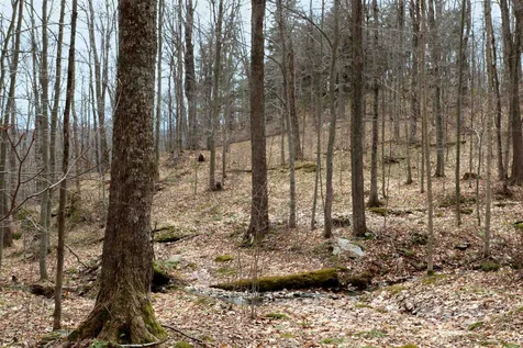 0 Route 100b Moretown VT 05660