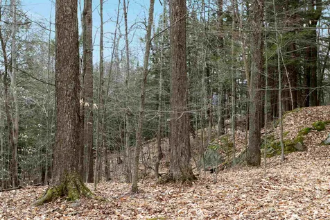 0 Route 100b Moretown VT 05660