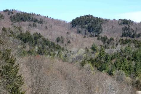 0 Route 100b Moretown VT 05660