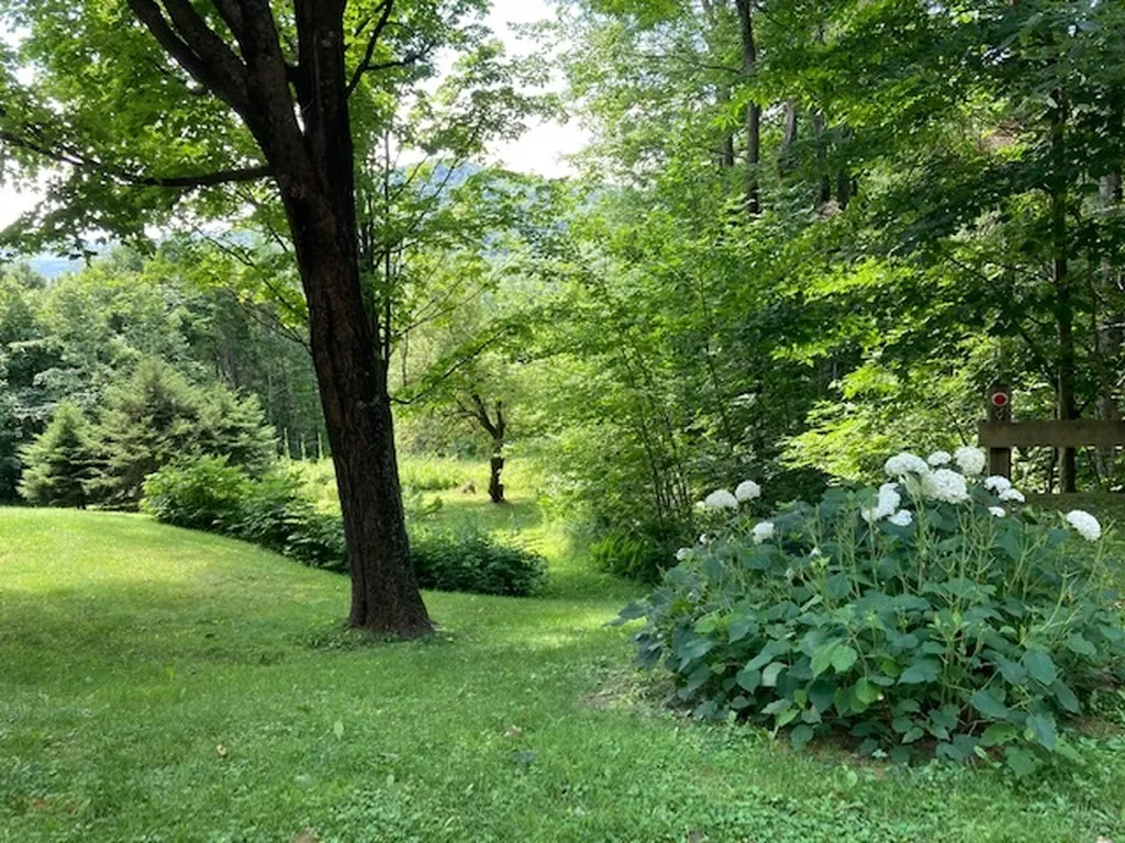 152 Triview Road Warren VT 05674