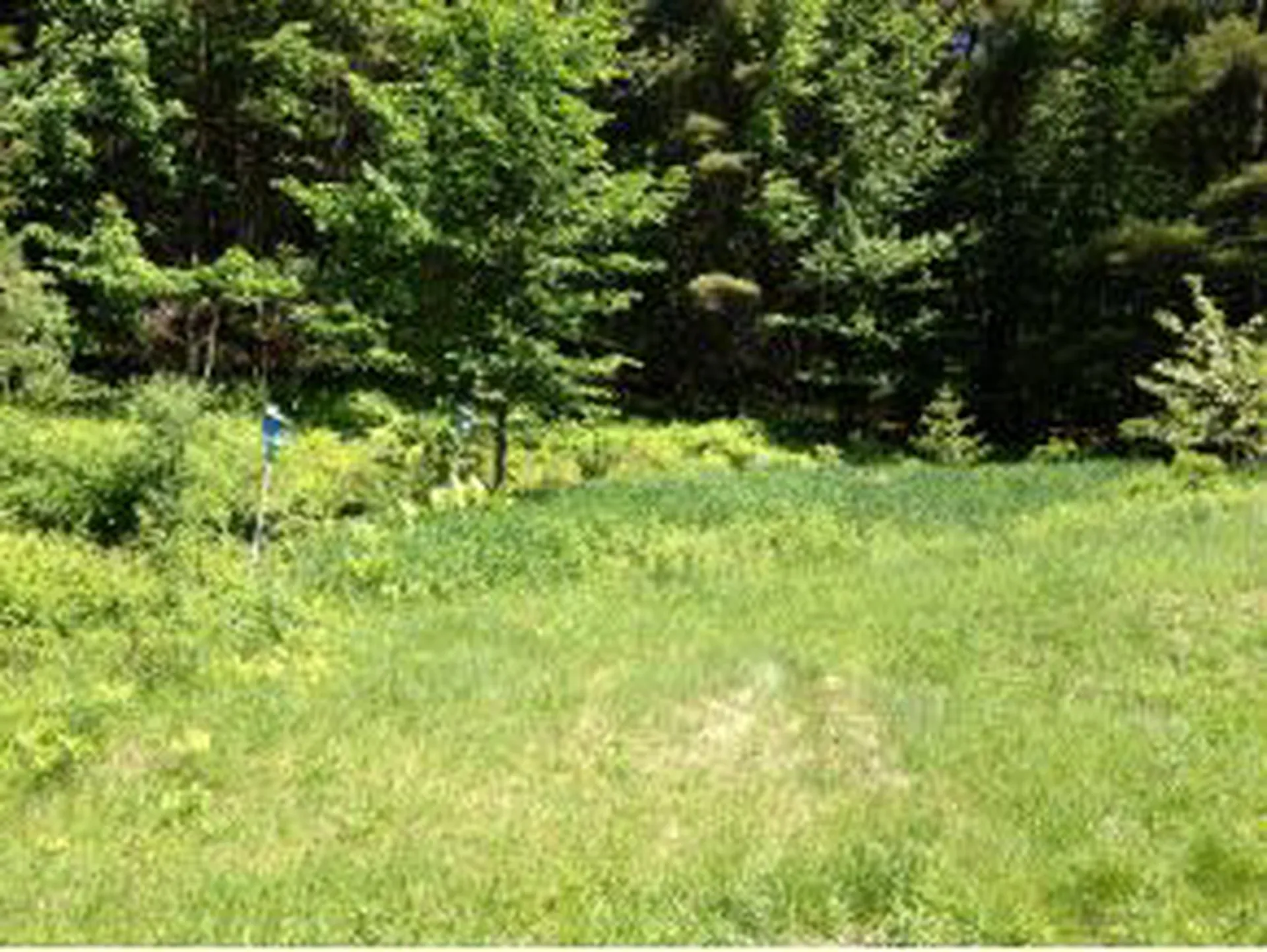 651 Union Village Road Norwich VT 05055