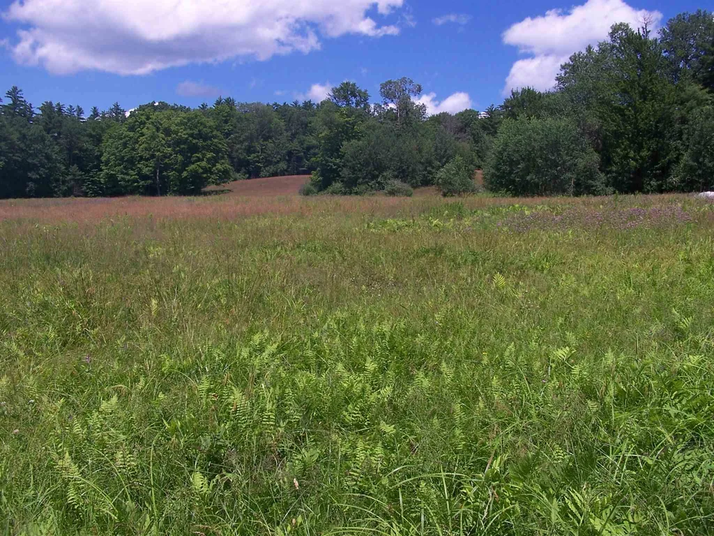 522 South Road Sullivan NH 03445-0000