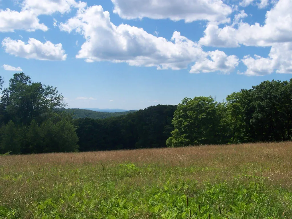 522 South Road Sullivan NH 03445-0000