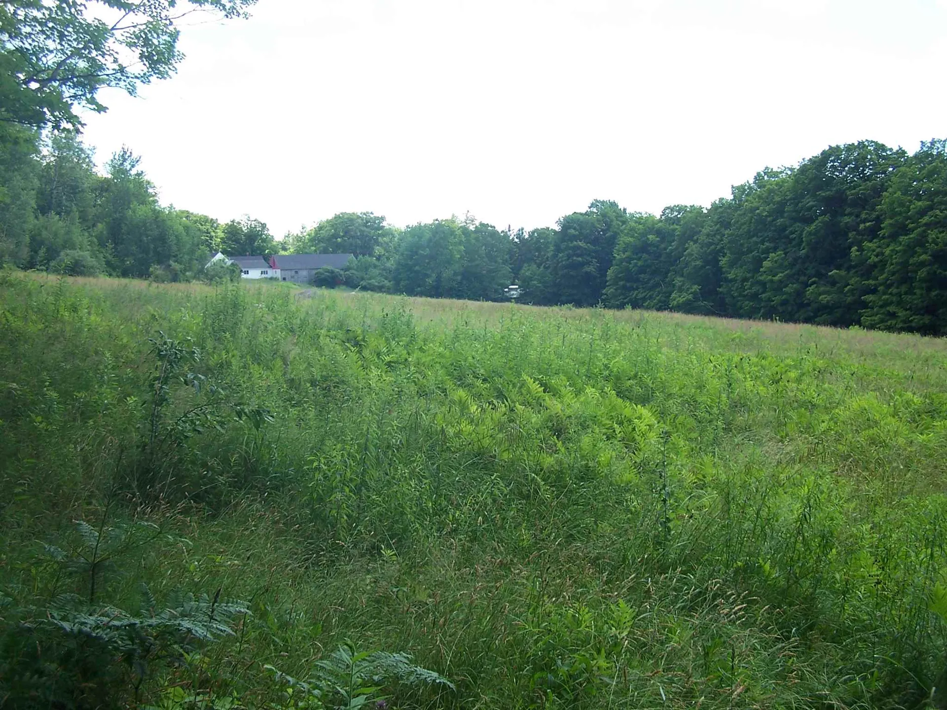 522 South Road Sullivan NH 03445-0000
