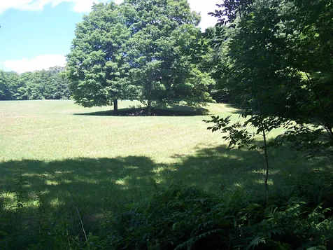 522 South Road Sullivan NH 03445-0000