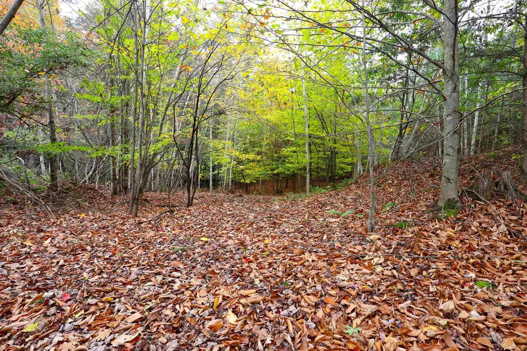 00 Christian Street Hartford VT 05001