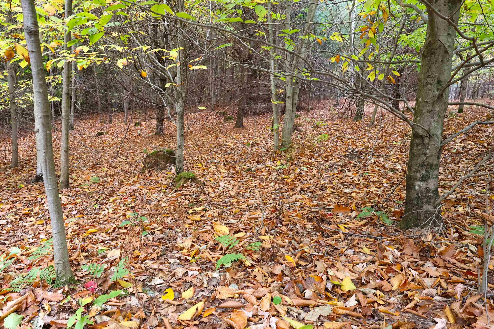 00 Christian Street Hartford VT 05001