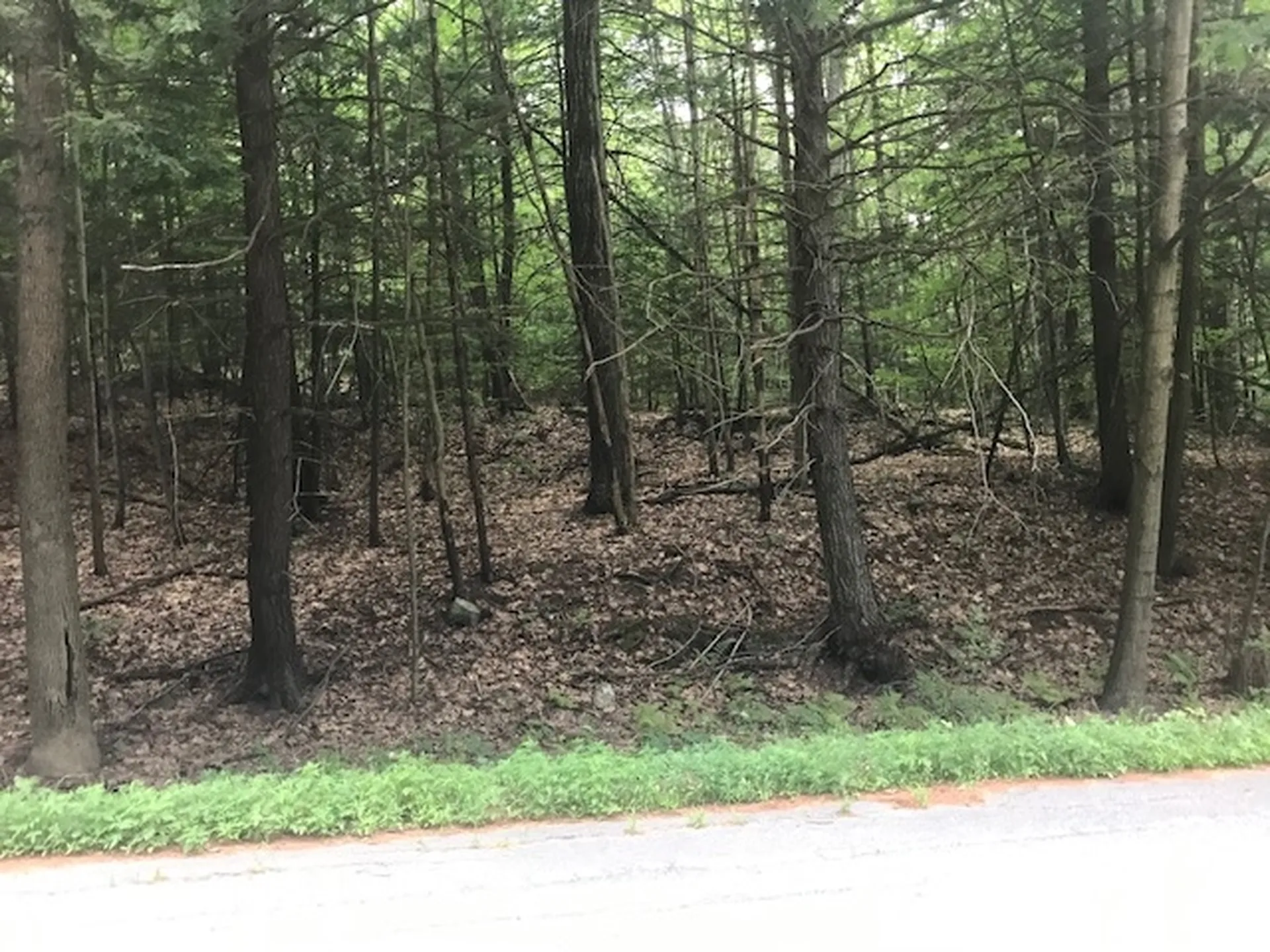 00 Christian Street Hartford VT 05001