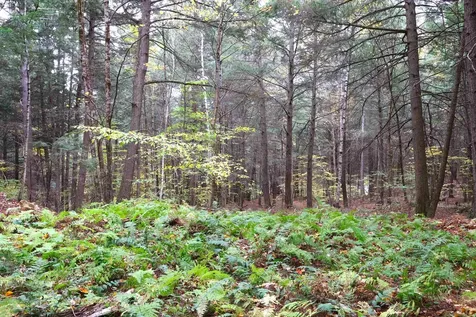 00 Christian Street Hartford VT 05001