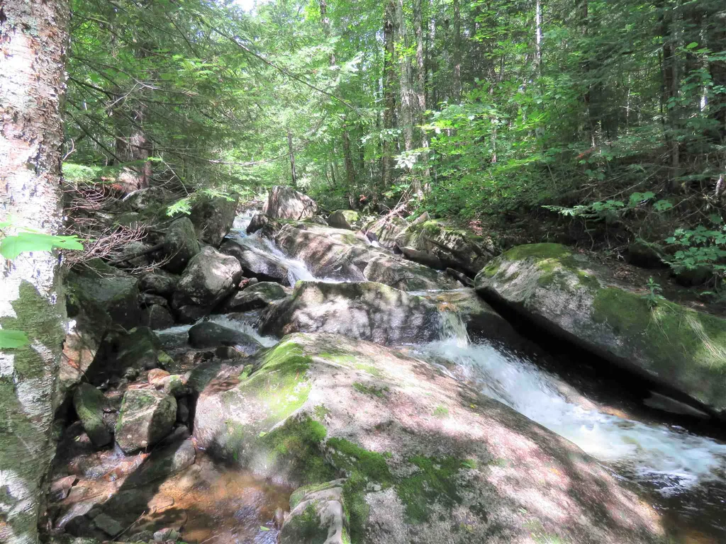 2996 Vt Route 114 Morgan VT 05853