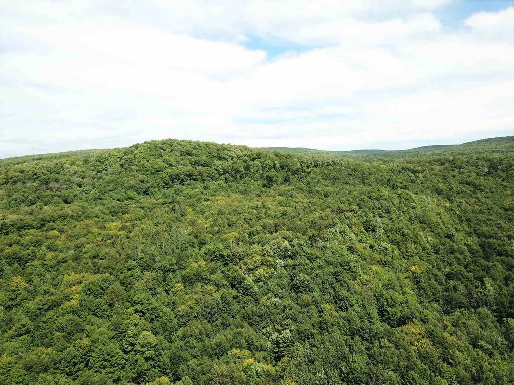2996 Vt Route 114 Morgan VT 05853