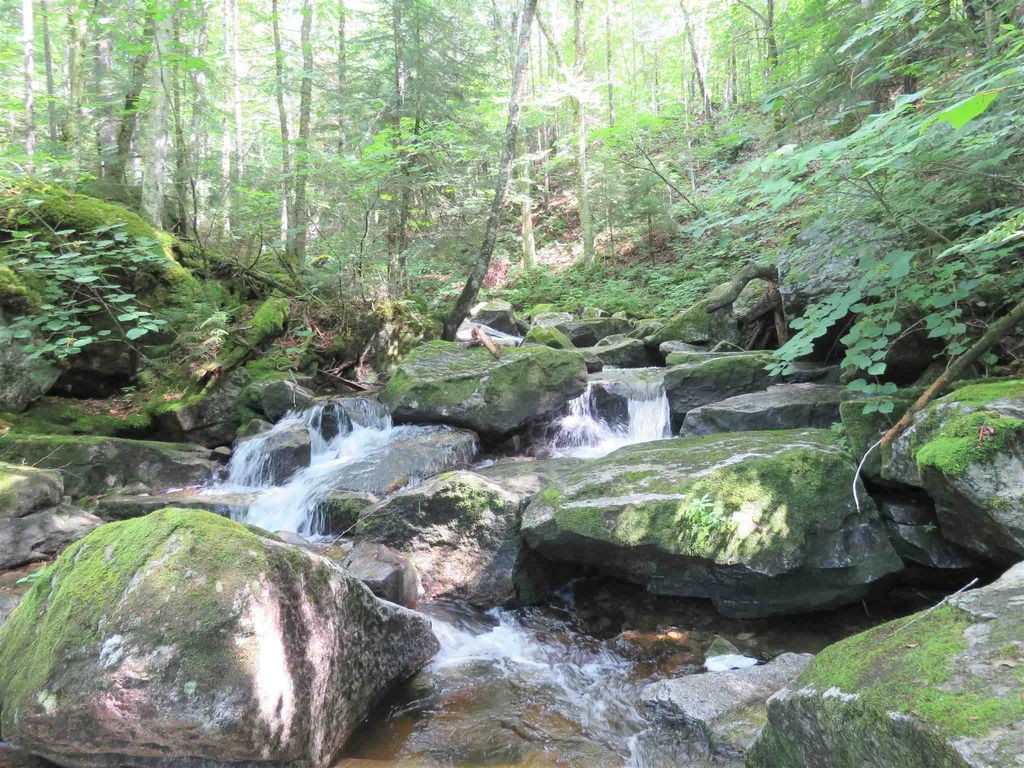 2996 Vt Route 114 Morgan VT 05853