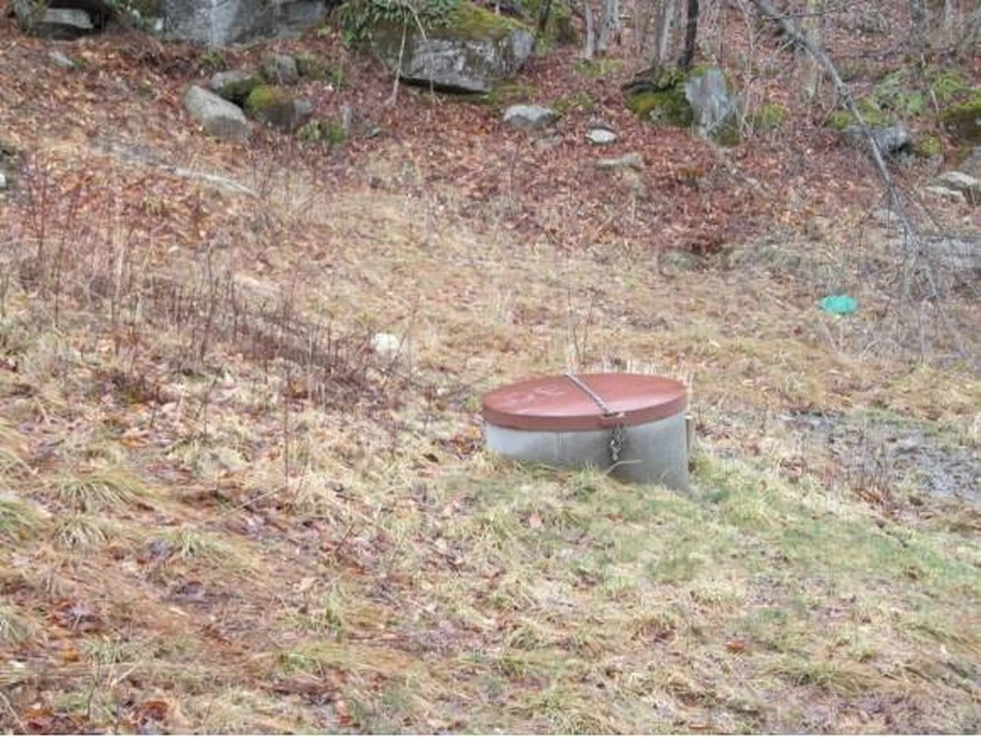 2996 Vt Route 114 Morgan VT 05853
