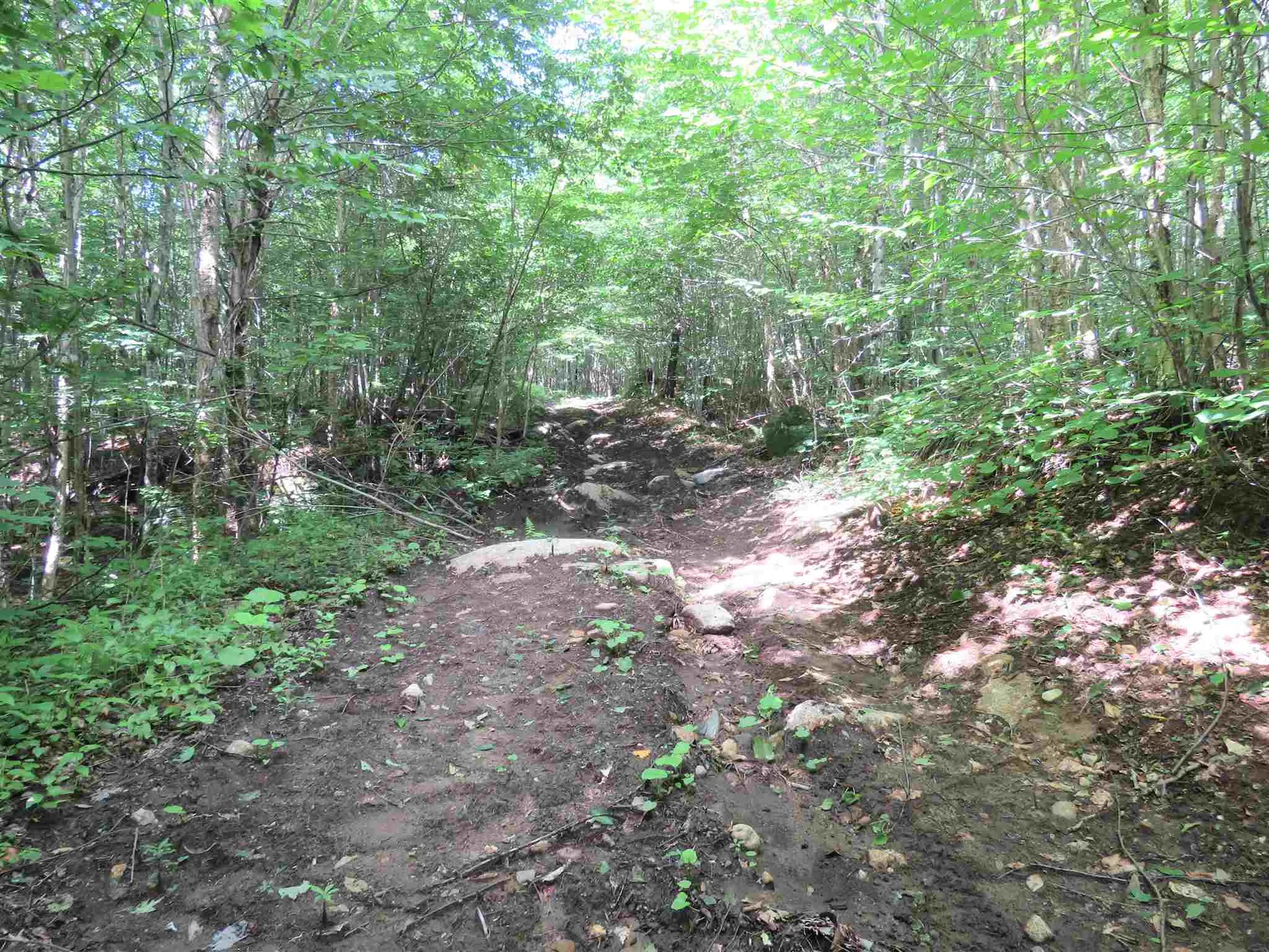2996 Vt Route 114 Morgan VT 05853