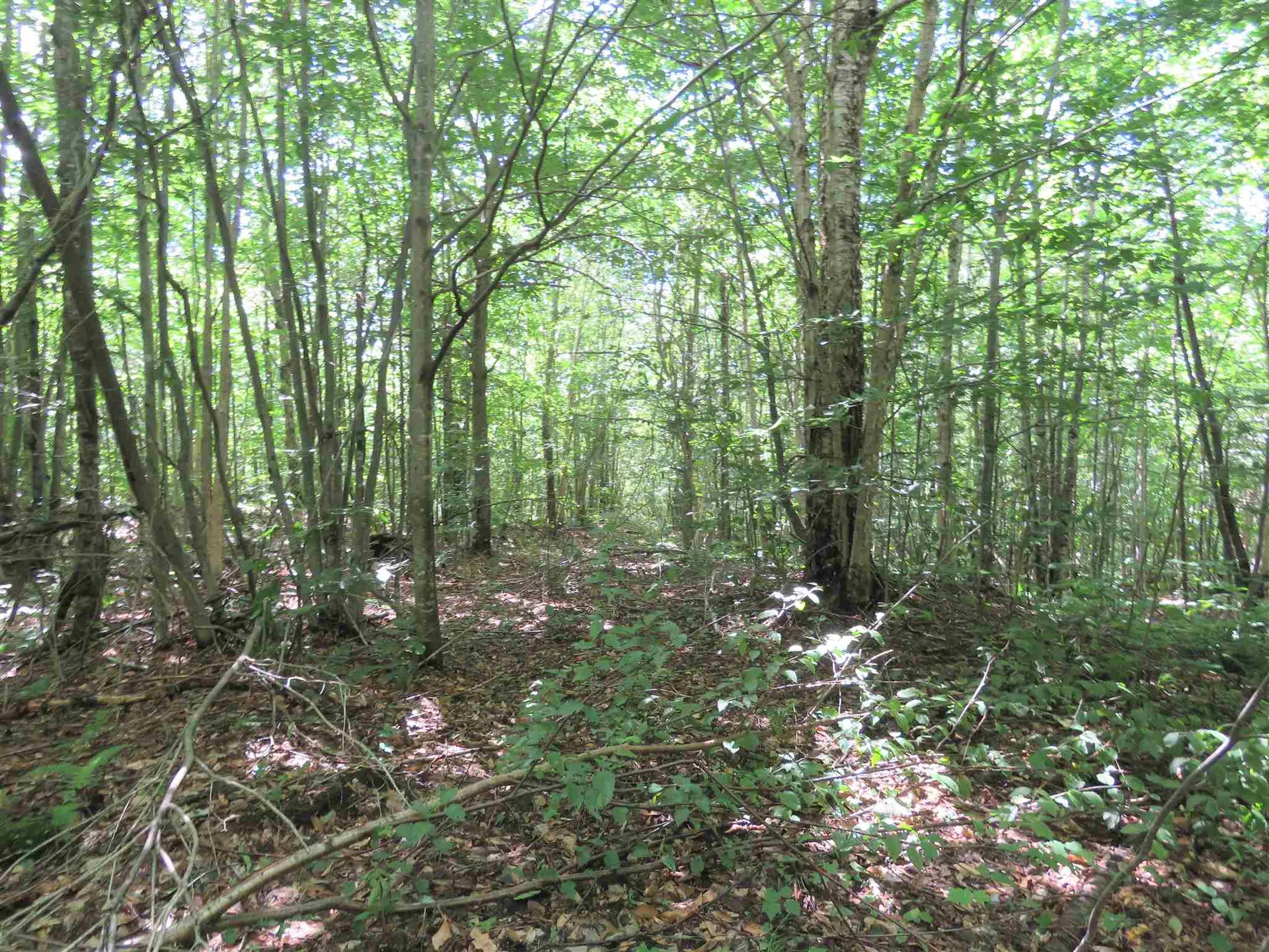 2996 Vt Route 114 Morgan VT 05853