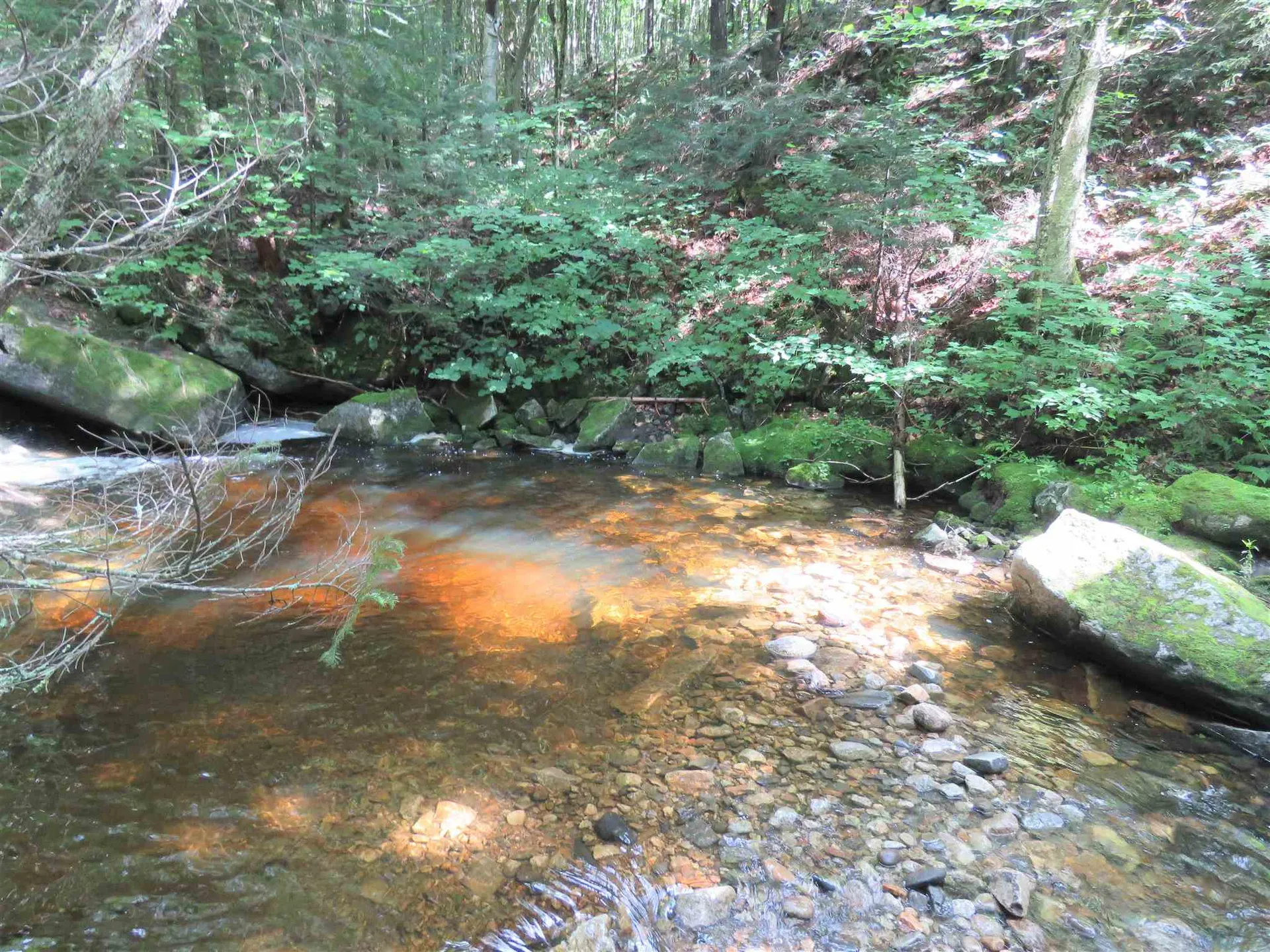 2996 Vt Route 114 Morgan VT 05853