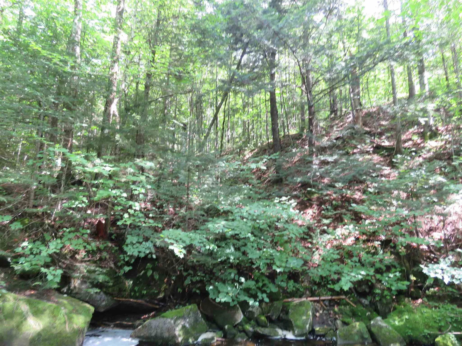 2996 Vt Route 114 Morgan VT 05853