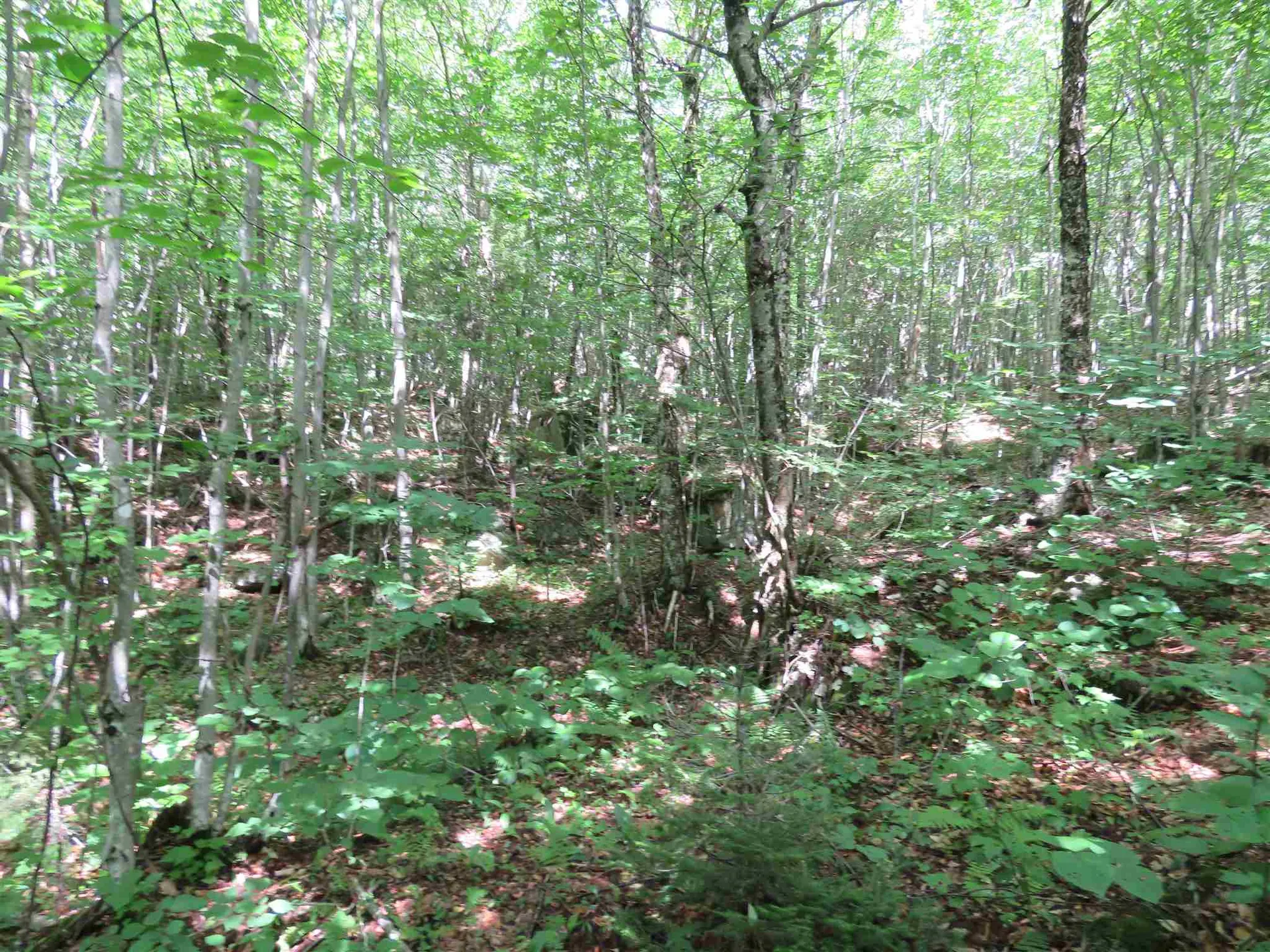 2996 Vt Route 114 Morgan VT 05853