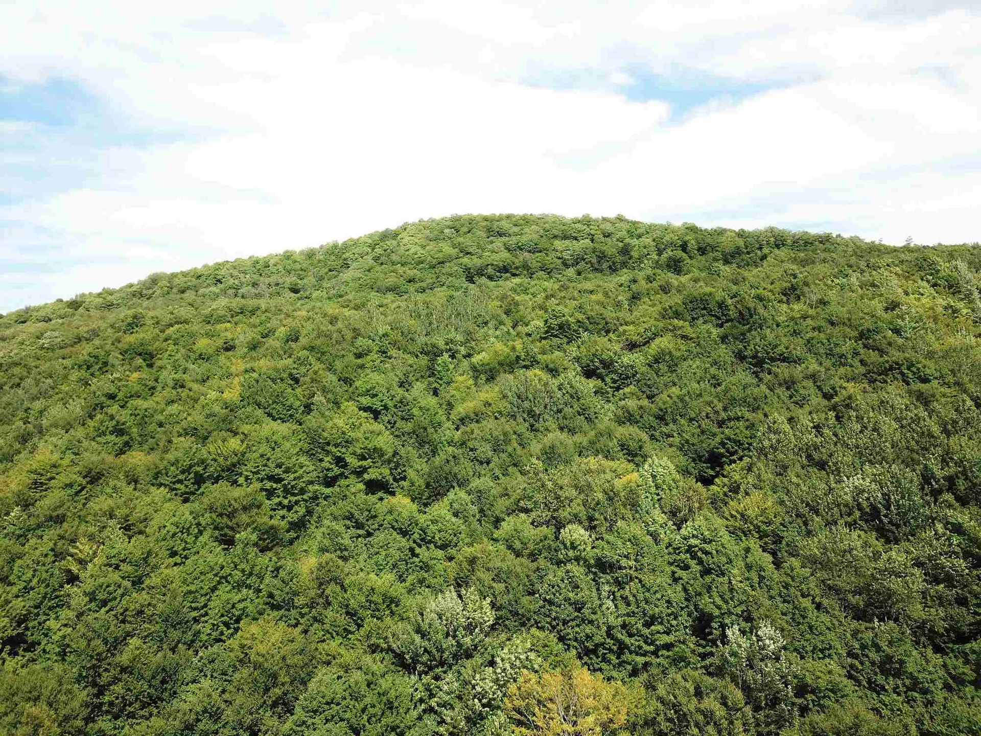 2996 Vt Route 114 Morgan VT 05853