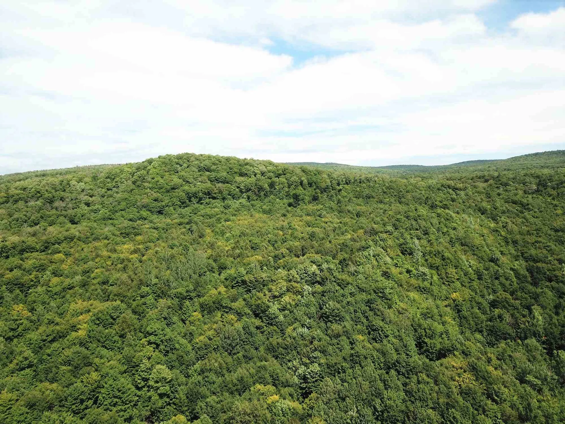 2996 Vt Route 114 Morgan VT 05853