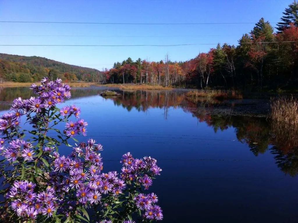 13 Baslow Lane Underhill VT 05489