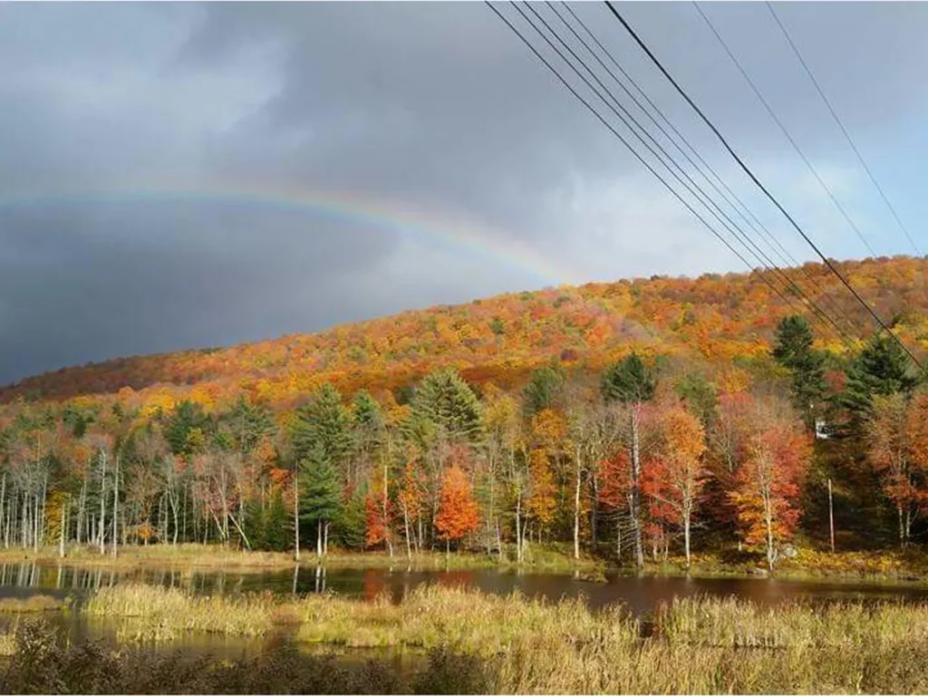 13 Baslow Lane Underhill VT 05489