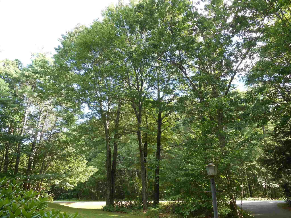 14 Wheelwright Drive Lee NH 03861
