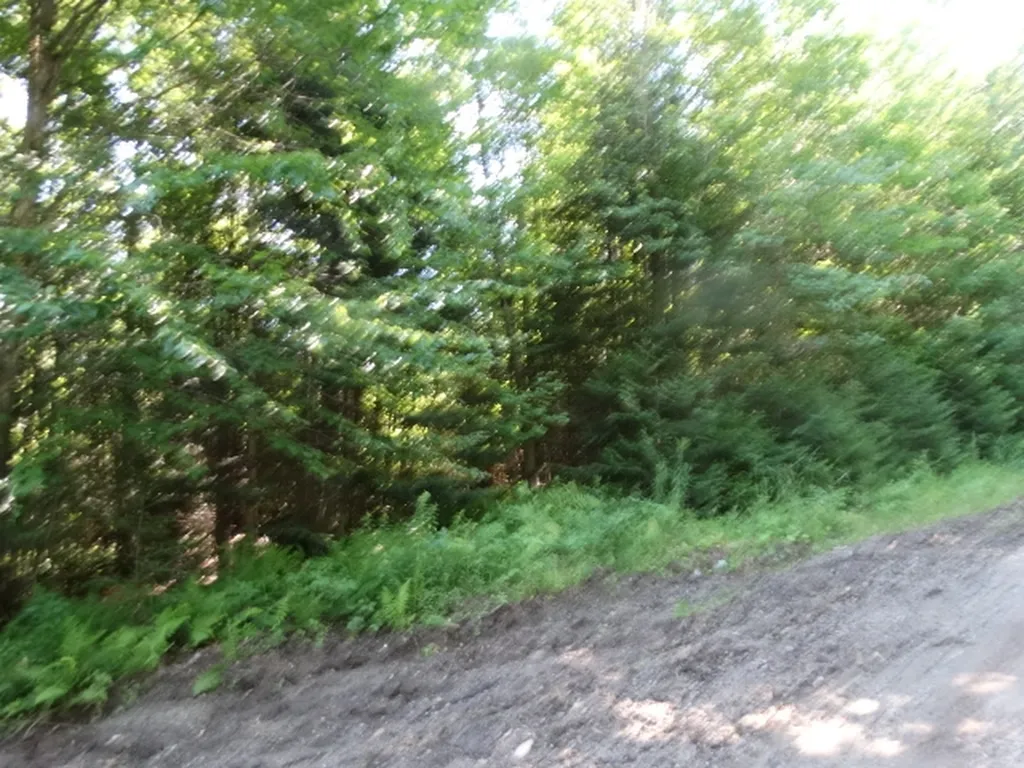 315 Mud Road Charleston VT 05872
