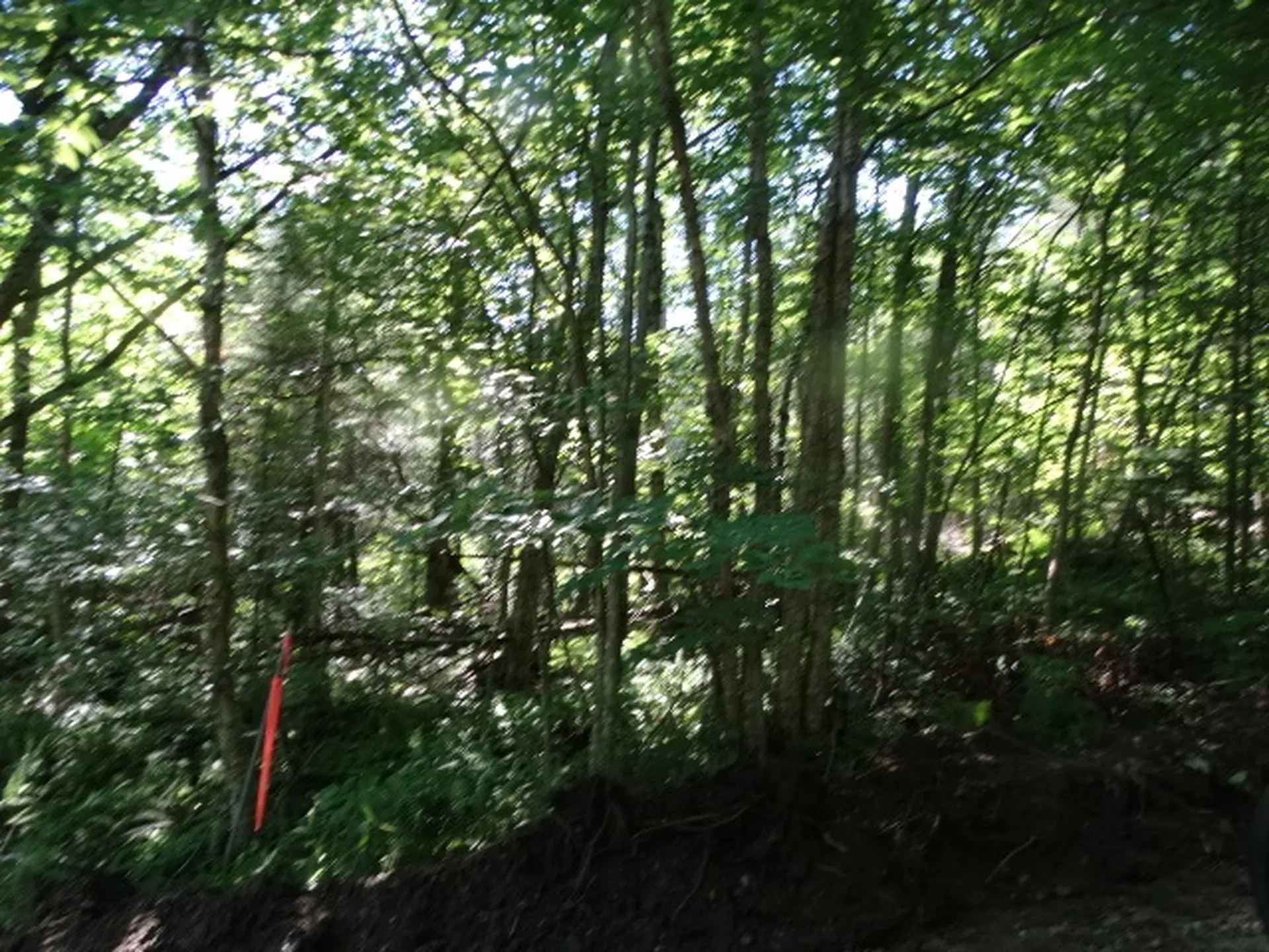 315 Mud Road Charleston VT 05872
