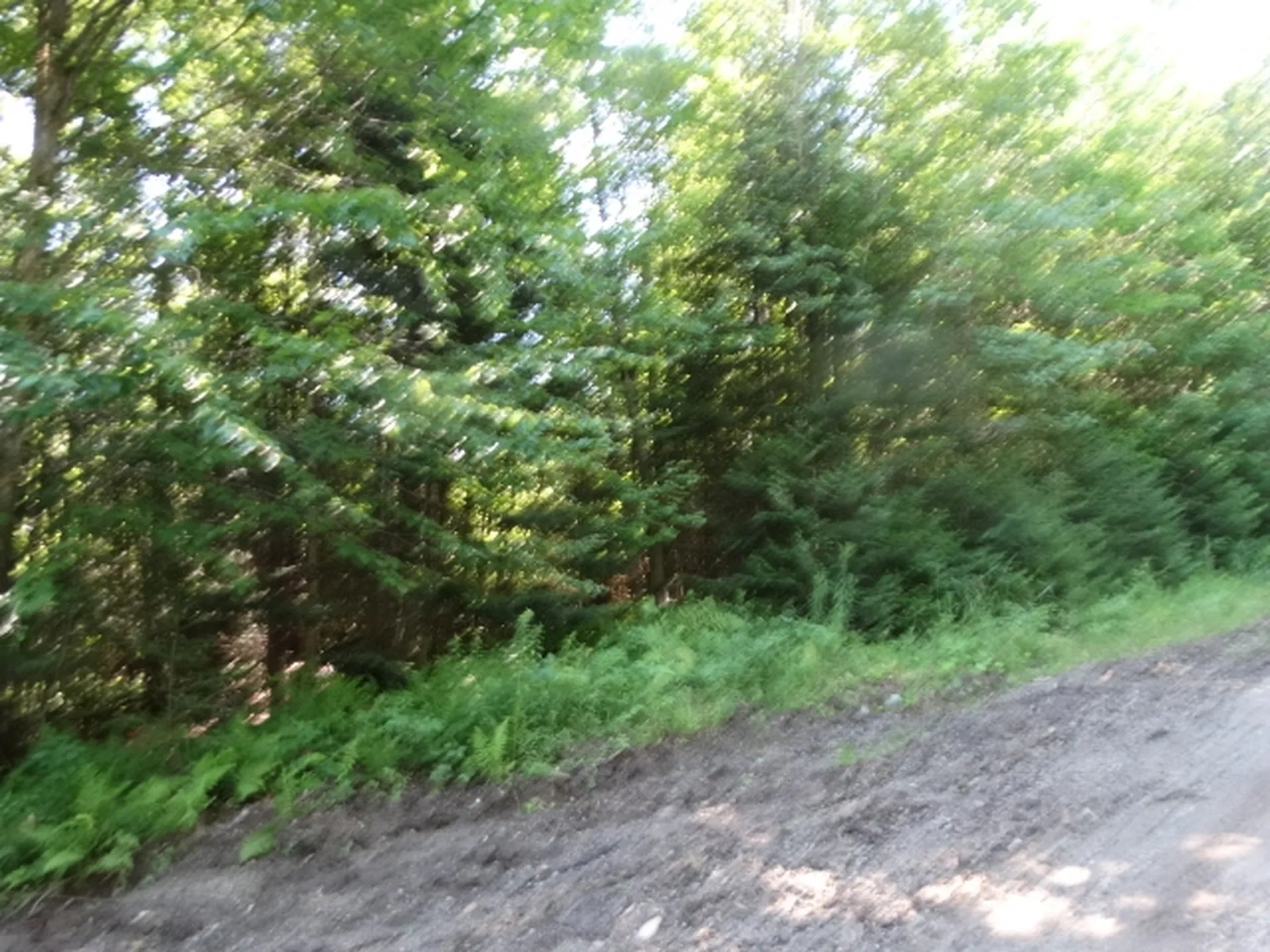 315 Mud Road Charleston VT 05872