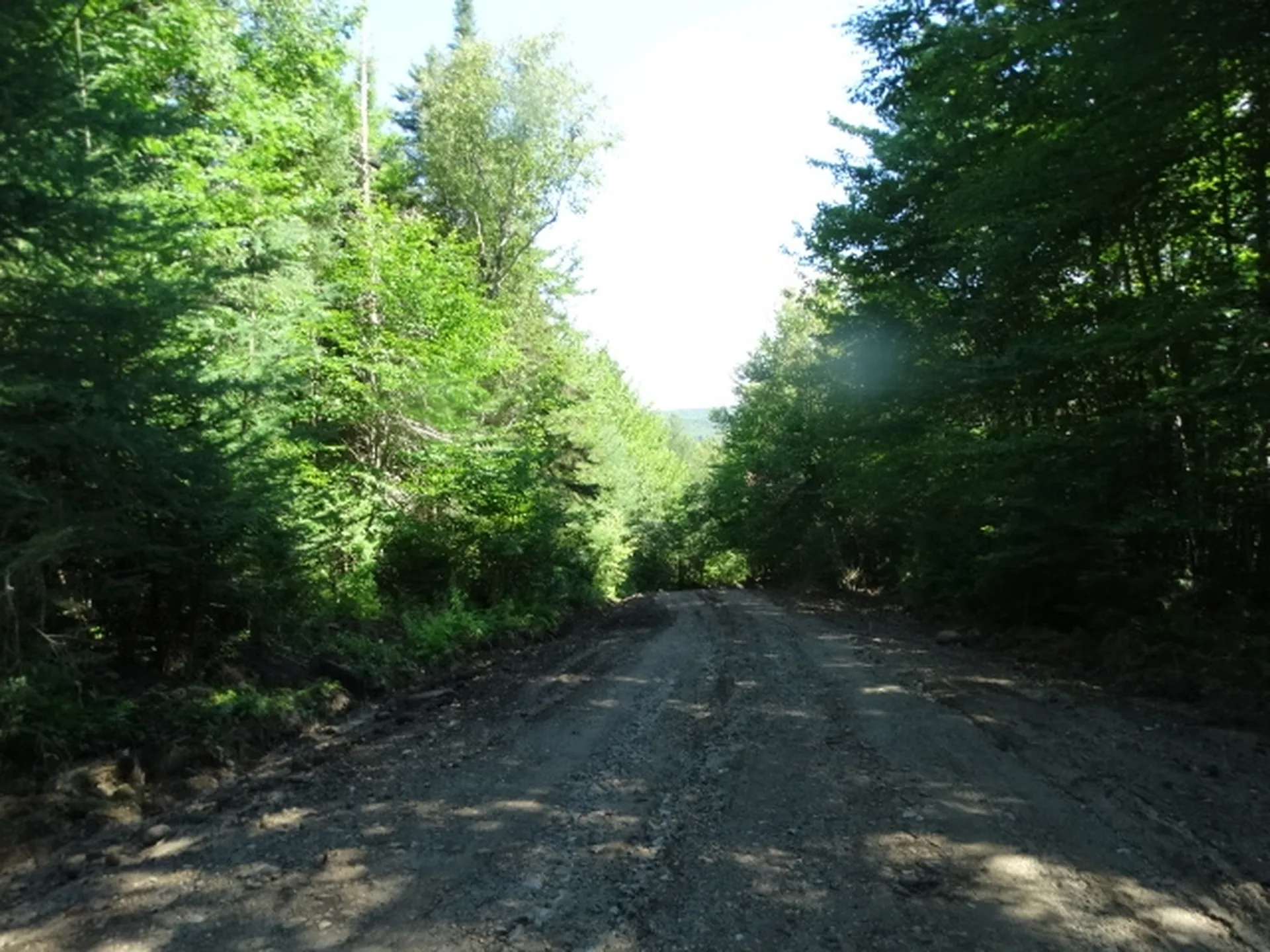 315 Mud Road Charleston VT 05872