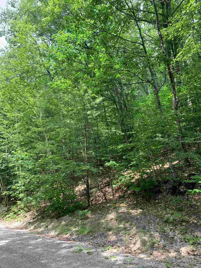 18 West Bergamo Drive Madison NH 03847