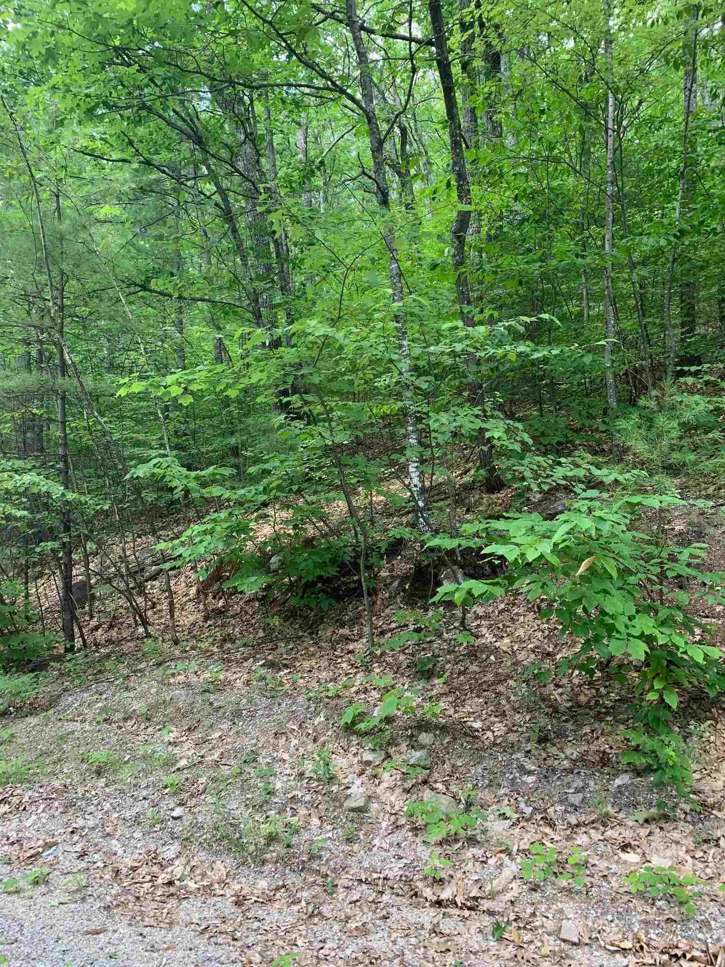 18 West Bergamo Drive Madison NH 03847