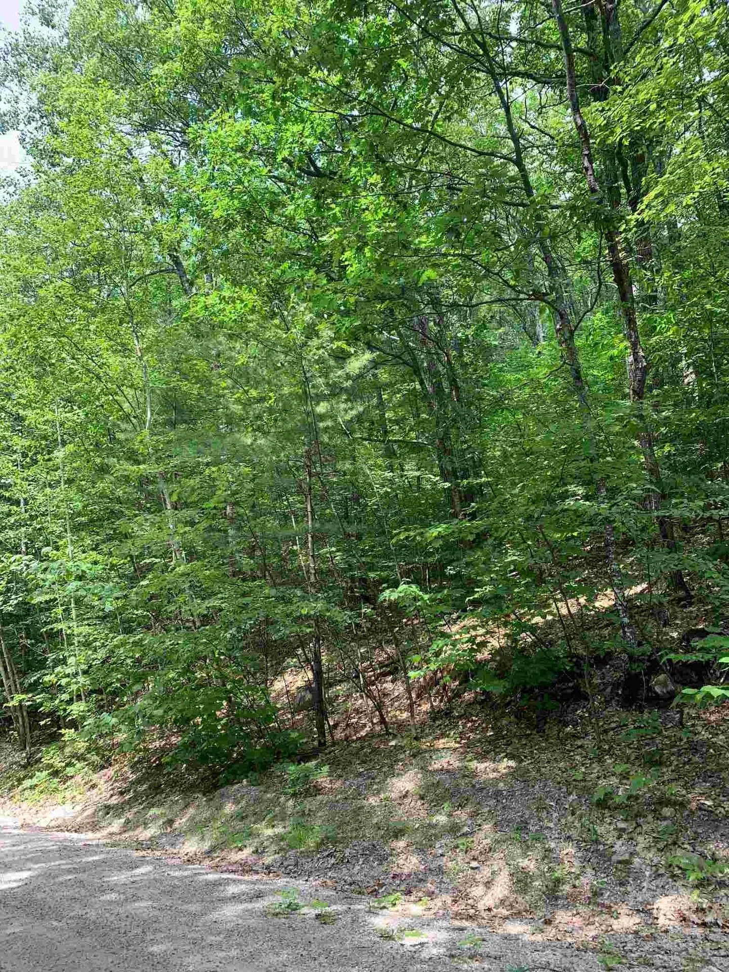 18 West Bergamo Drive Madison NH 03847