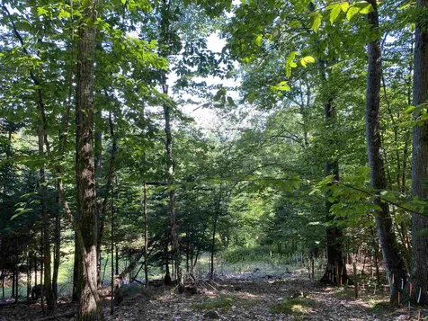 461 Farr Hill Road Littleton NH 03561