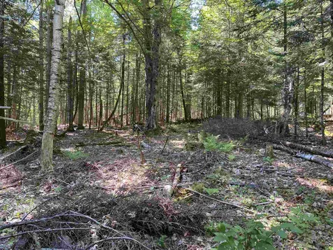 461 Farr Hill Road Littleton NH 03561