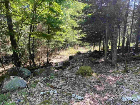 461 Farr Hill Road Littleton NH 03561