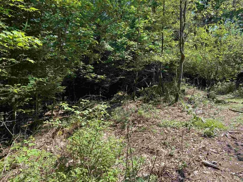 461 Farr Hill Road Littleton NH 03561